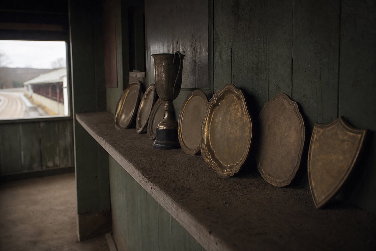 Tarnished brass plaques and a small trophy on a dusty timber shelf in a racetrack corridor